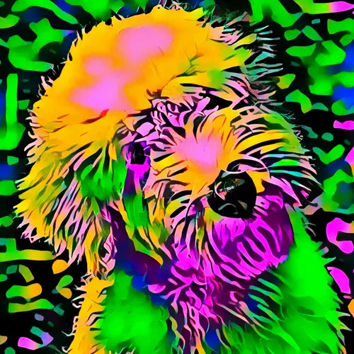 Item #50830097462543580601473563981388698009005024090223633461481089593038832926721 Media