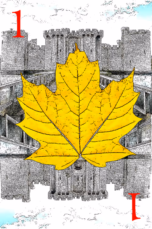 Item #725871994361601053273897083725667630871827410788579972353670395497317138433 Media