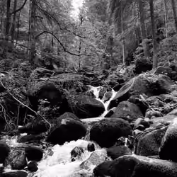 Triberger Waterfalls black/white