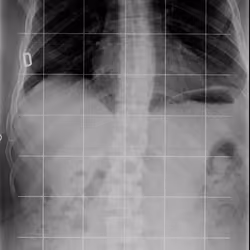 2020_11_23_columna1 #selfie_v2