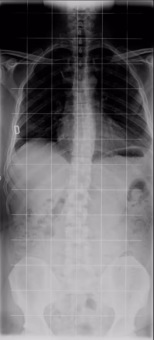 Item #11780915356901891937150191052604117223978980698243640119023280912457355231233 Media