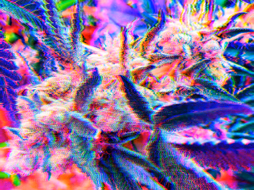 Item #83970981387443879143921485150900069530799783516997234463864977578767773859841 Media