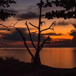 Sunset #7