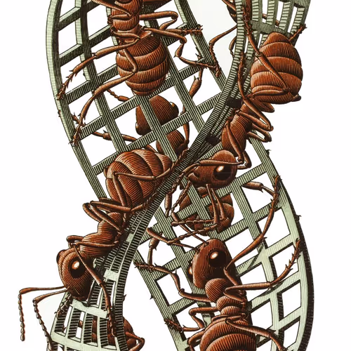 Untitled Collection #156523536