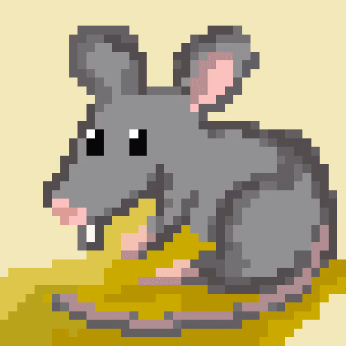 #11 Rita Rat