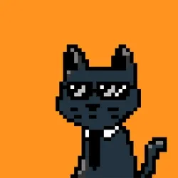 punk cat