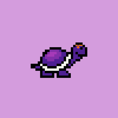 Turtle #439