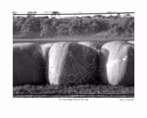 Item #24600310660482288606297797528155087939323639147399647196853483700713911484417 Media