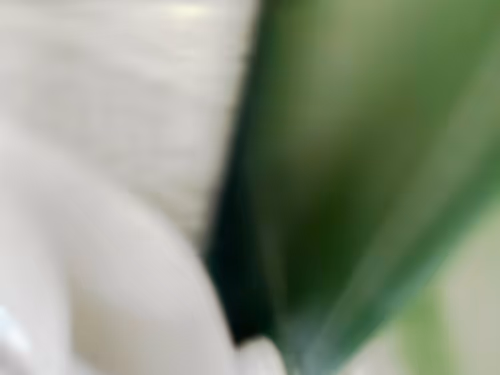 Item #34814088845477629227704468099299342434369579888194691644291829497098257039361 Media