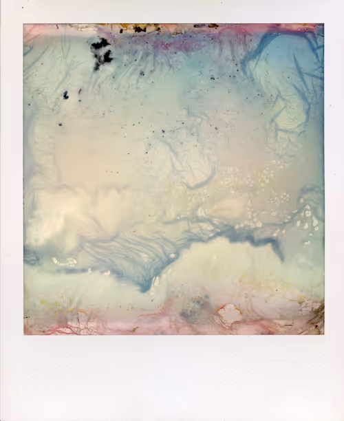 Item #70380901503112594242682332060958129293814408610490671047120815299468856393729 Media