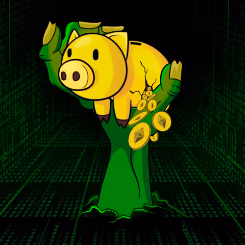 Jnasty808 Collection