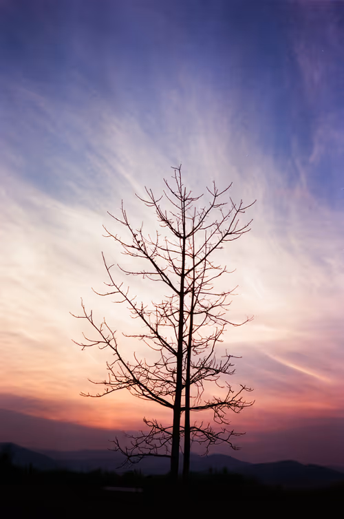 Item #39751179784582384038417708037635315831979878647578552707243286042449216012289 Media