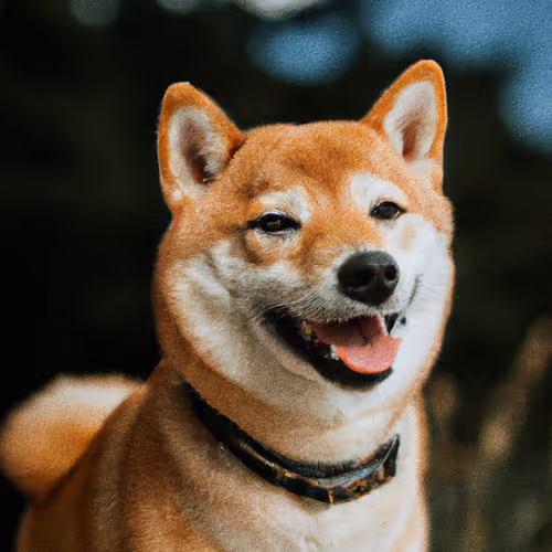 Item #34470142884482375674331152583341387110725961593908059002011227505967455272961 Media