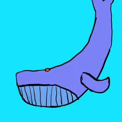 PAUS BIRU