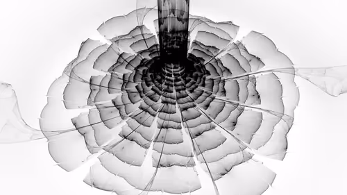 Item #91769887832752518166677708850391957666686765350180813621784373682570453319681 Media