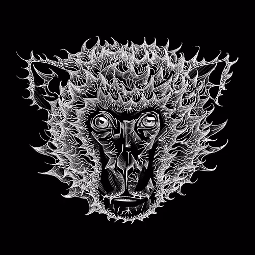 Animal Sequence