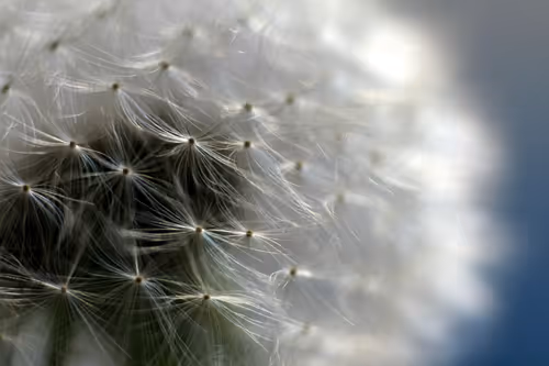 Item #13606181839721576894155883308236999132816604807813273145513526371457479737345 Media