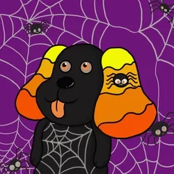 Spider Doggy