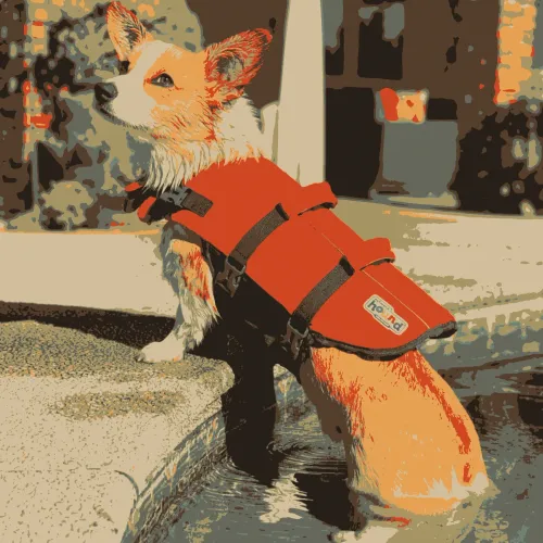 Untitled Collection #39114670