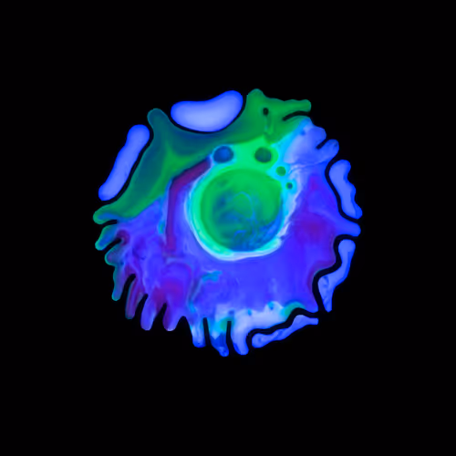 Haematopoiesis