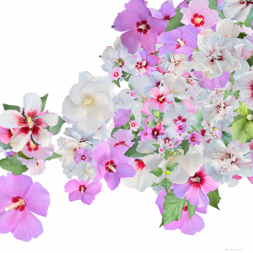 Item #57079712582191126887516961639482112914535436253999342571416194867119037349889 Media