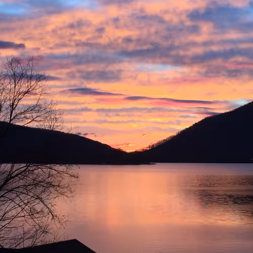 Purple Sunrise