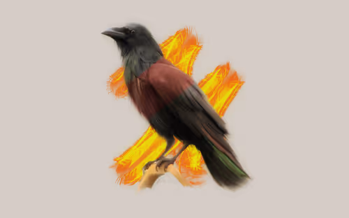 Item #79073673336192715676721091523197344088017087924881019700259774354147386589185 Media