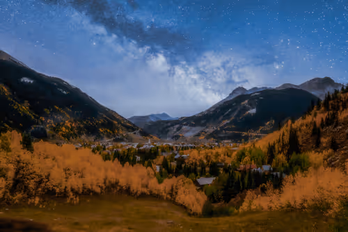 Stephaniecox7 Collection