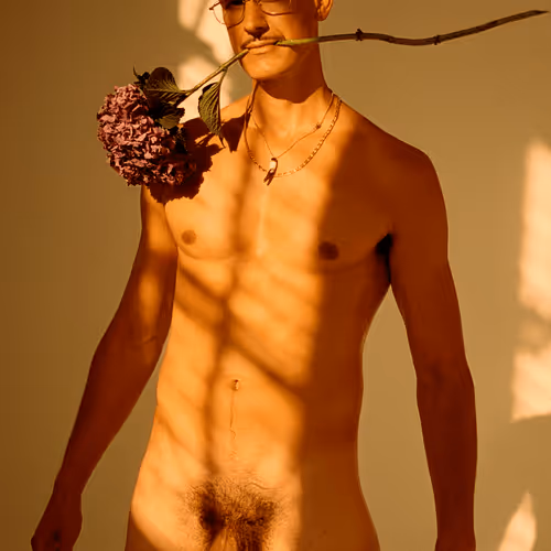 Den Neo Skandinaviske Mand - Art Exhibition