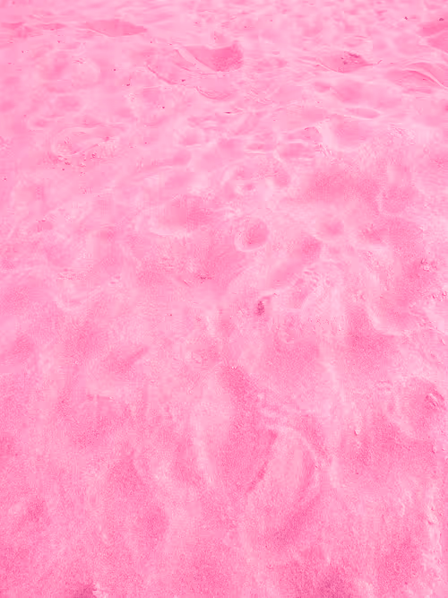 Item #98843954857266856101330559780238873570552098425130206222908041914300705538049 Media