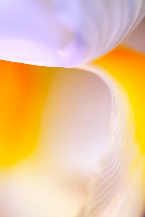 Item #24632583837492670092599633934589483131746797002802219579488358134938962231297 Media