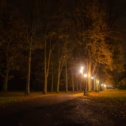 alley_1