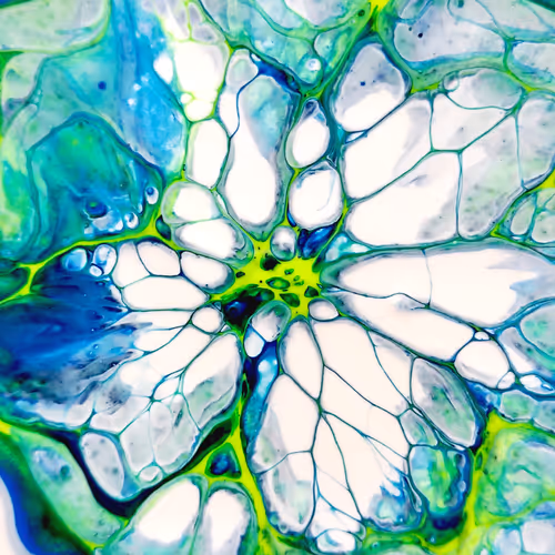 93517858934538610296799104720857224042243540248850289661824237433086353080321