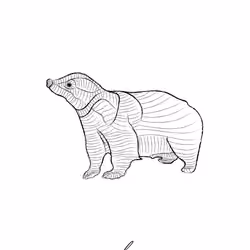Mr. Badger