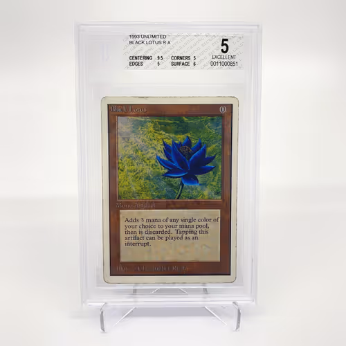 Item #8934526119241174373472330923927839952220810930830256094160748725181584769025 Media