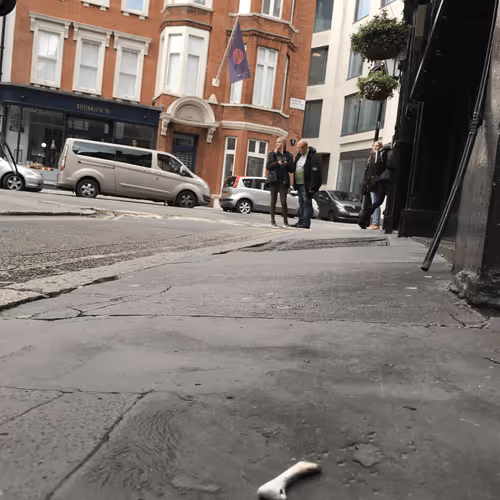 Chicken Bones Unseen