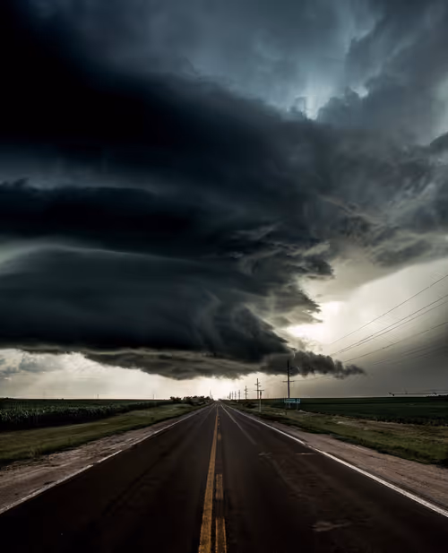 Item #36388733735061083786475834014155955711748965200924391160511104816441133629441 Media