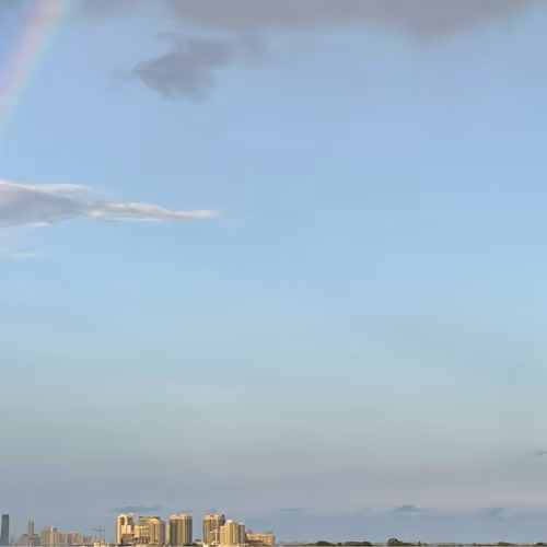 Untitled Collection #72676479