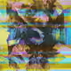 62288420463860289310427580933528577115052580480405258034880612828962283847681