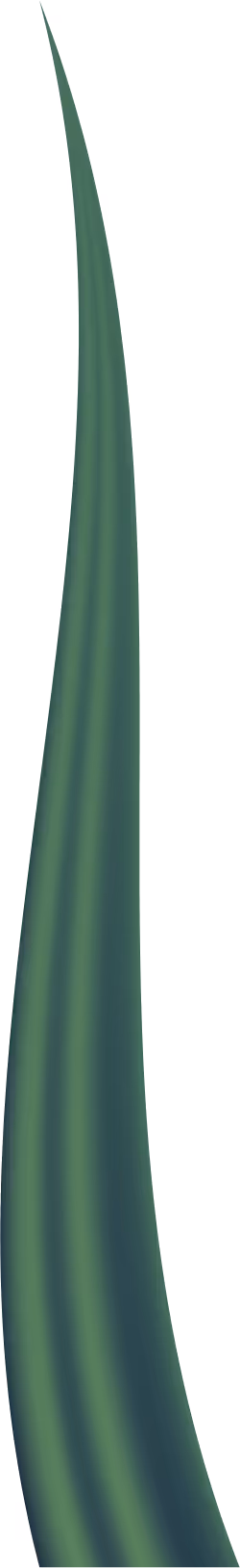 Item #78763235517899702300642317908544281341520076745003203023483945978515054133249 Media