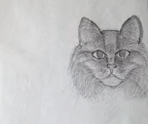 Item #5503311471662219802718148800125460752120054938104782853380324145348726489089 Media