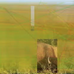 105089968166921690156624725616502706642431777719922472152070405772240314433537