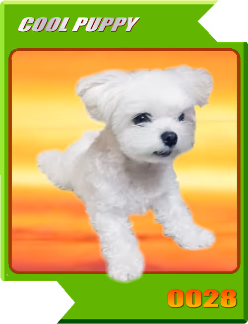 Item #21477548388787063266658748687199700189937005018840532589754440372228645191681 Media