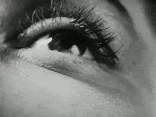 Item #65033471295990105292863051236151584237795401292805181333653600462850934964225 Media