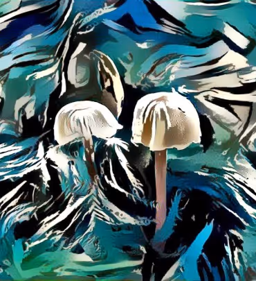 Item #98828088198769885069129805652987605738903563667474416042030428847802656227329 Media