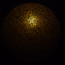 Gold lizard skin round object collection 1/1 