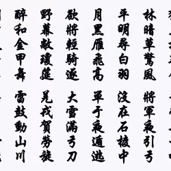 105982157982969689894790293211995505842461596675340887558550664984355040919553