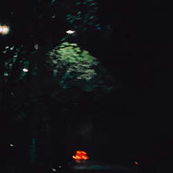 Road 1/3