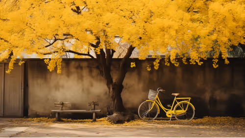 Item #41021621128523952491206497612718958353951676462576225964665207872825891749898 Media