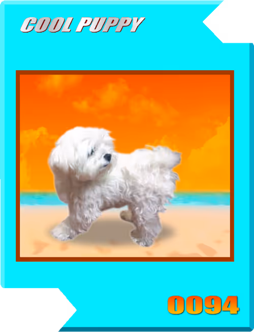 Item #21477548388787063266658748687199700189937005018840532589754440462388598669313 Media